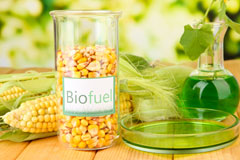 The High biofuel availability